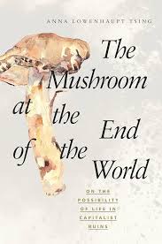 The Mushroom at the End of the World Book Cover