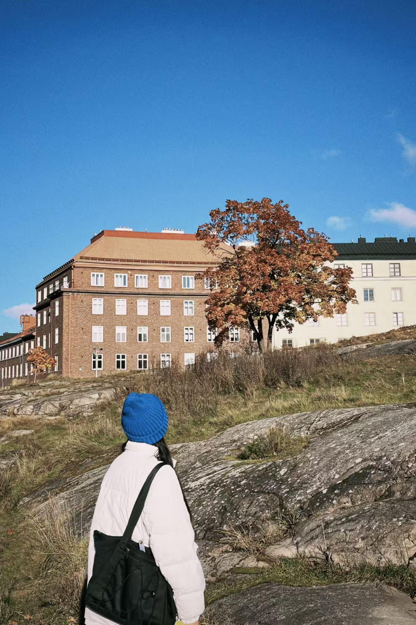 Sisu - Finnish resilience